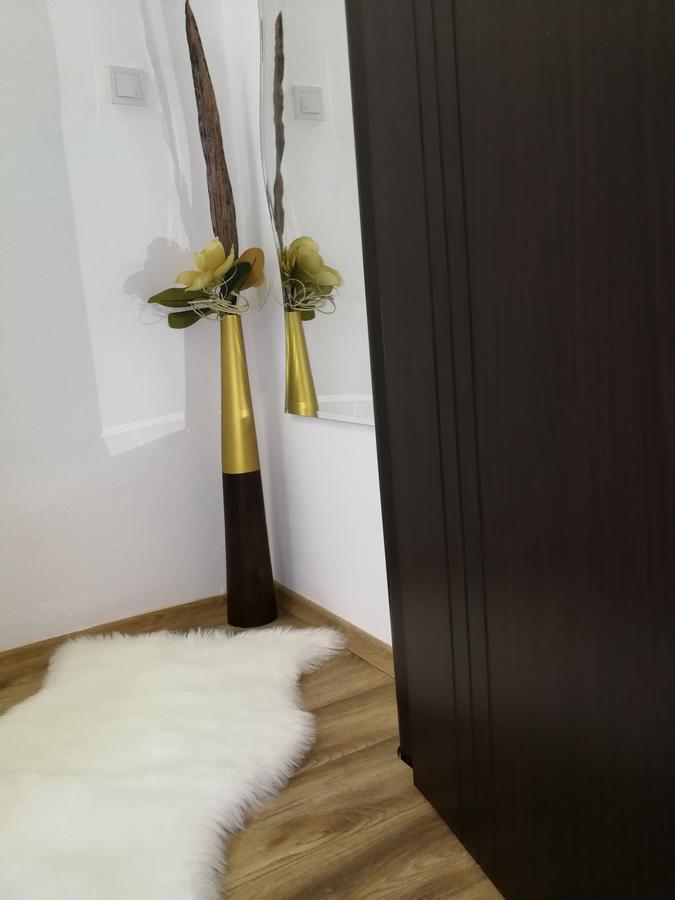 House Apartment Minerilor Cluj-Napoca Exterior photo