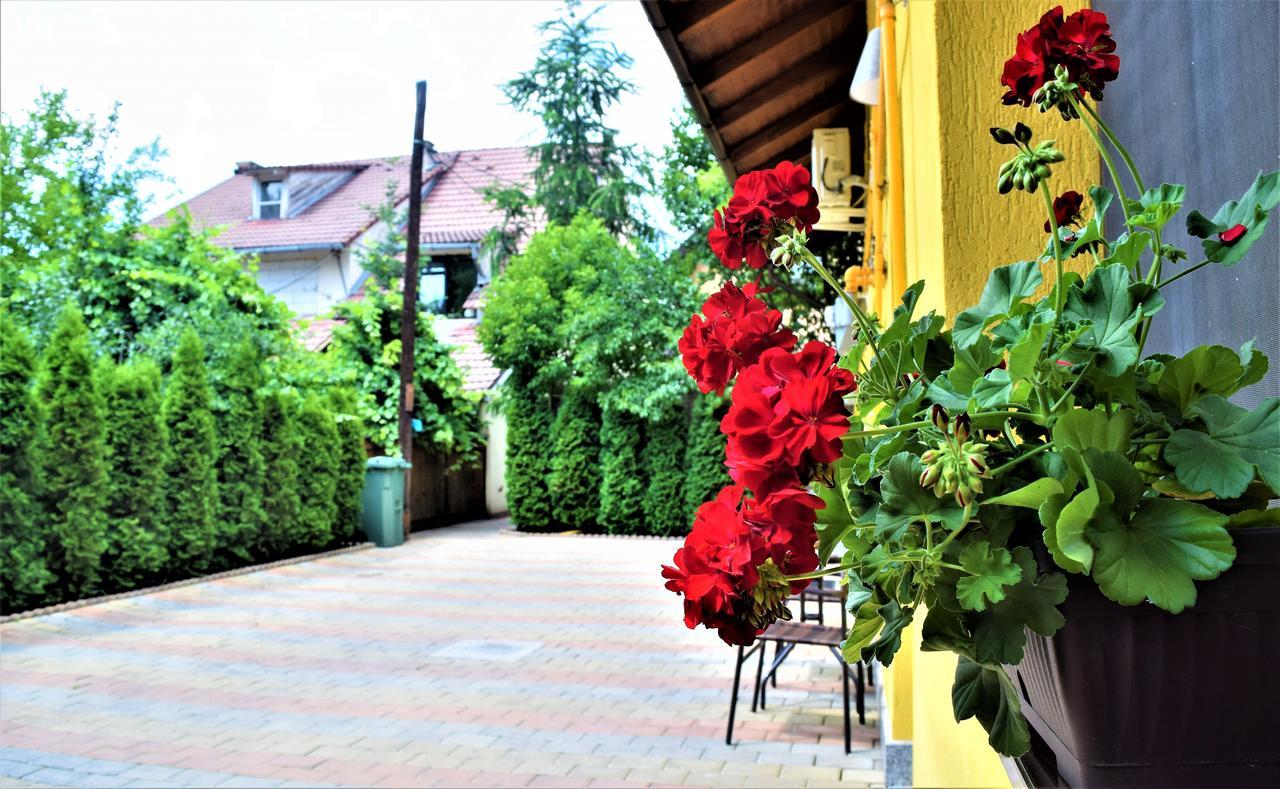 House Apartment Minerilor Cluj-Napoca Exterior photo